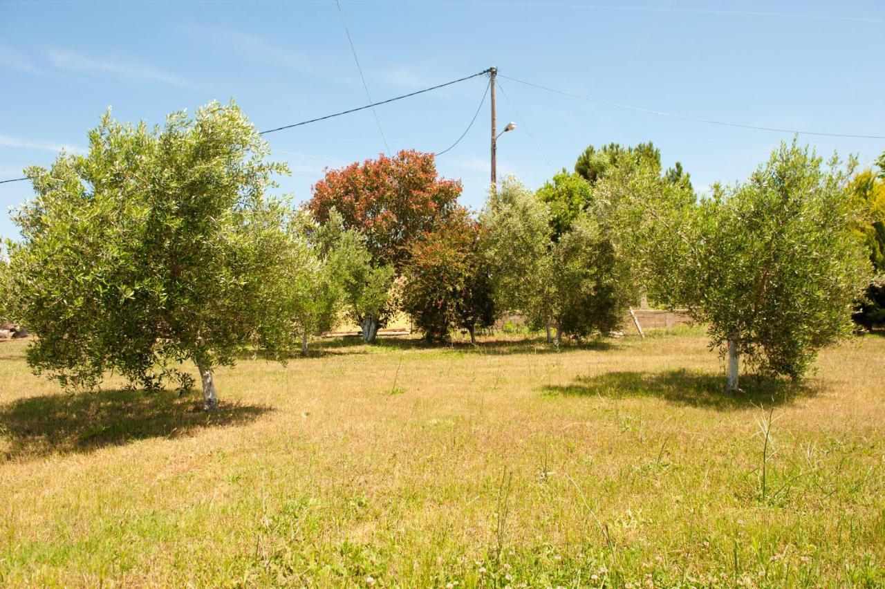 Olives Estate Apartments Grande Preveza Eksteriør billede
