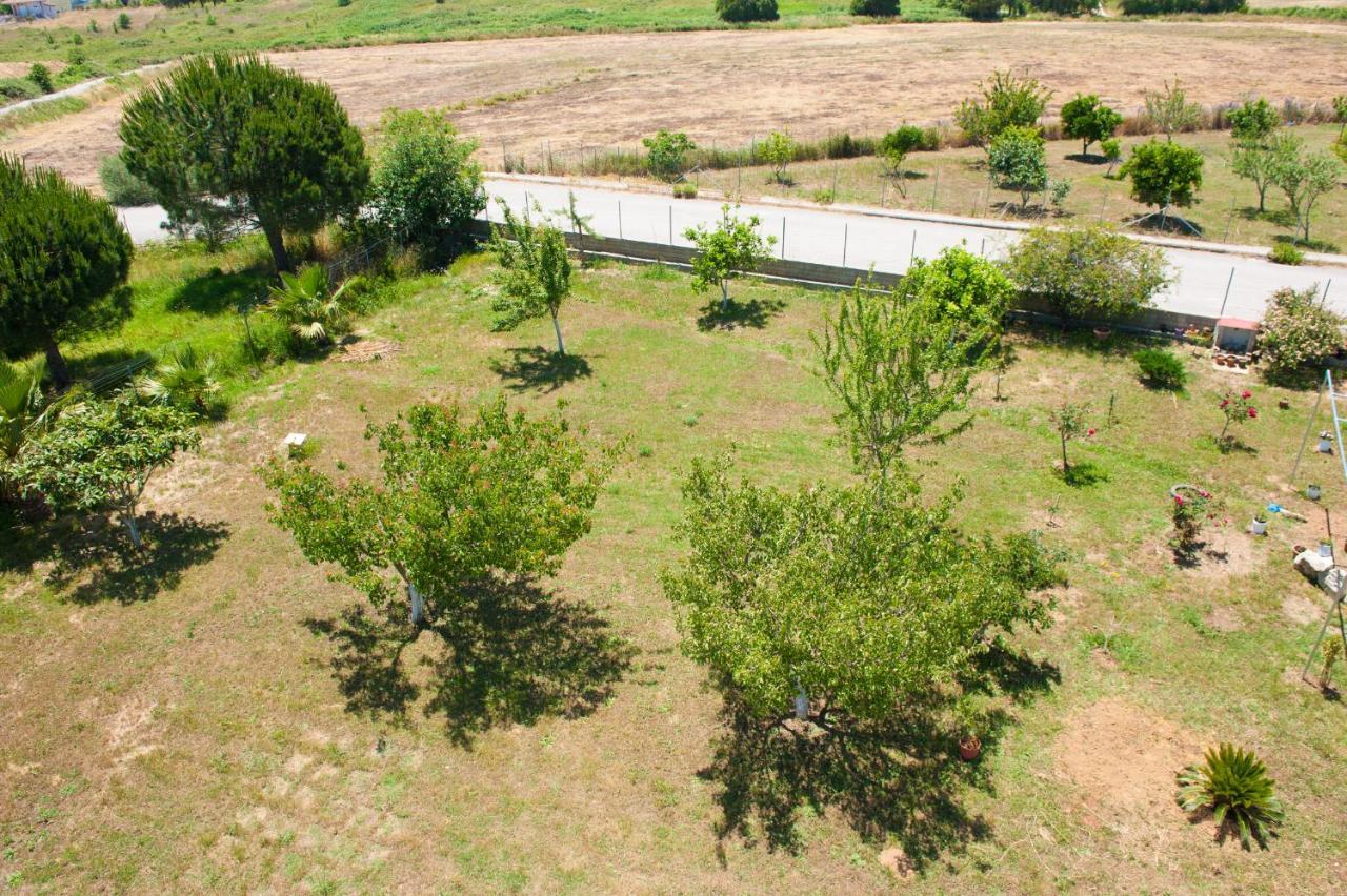 Olives Estate Apartments Grande Preveza Eksteriør billede