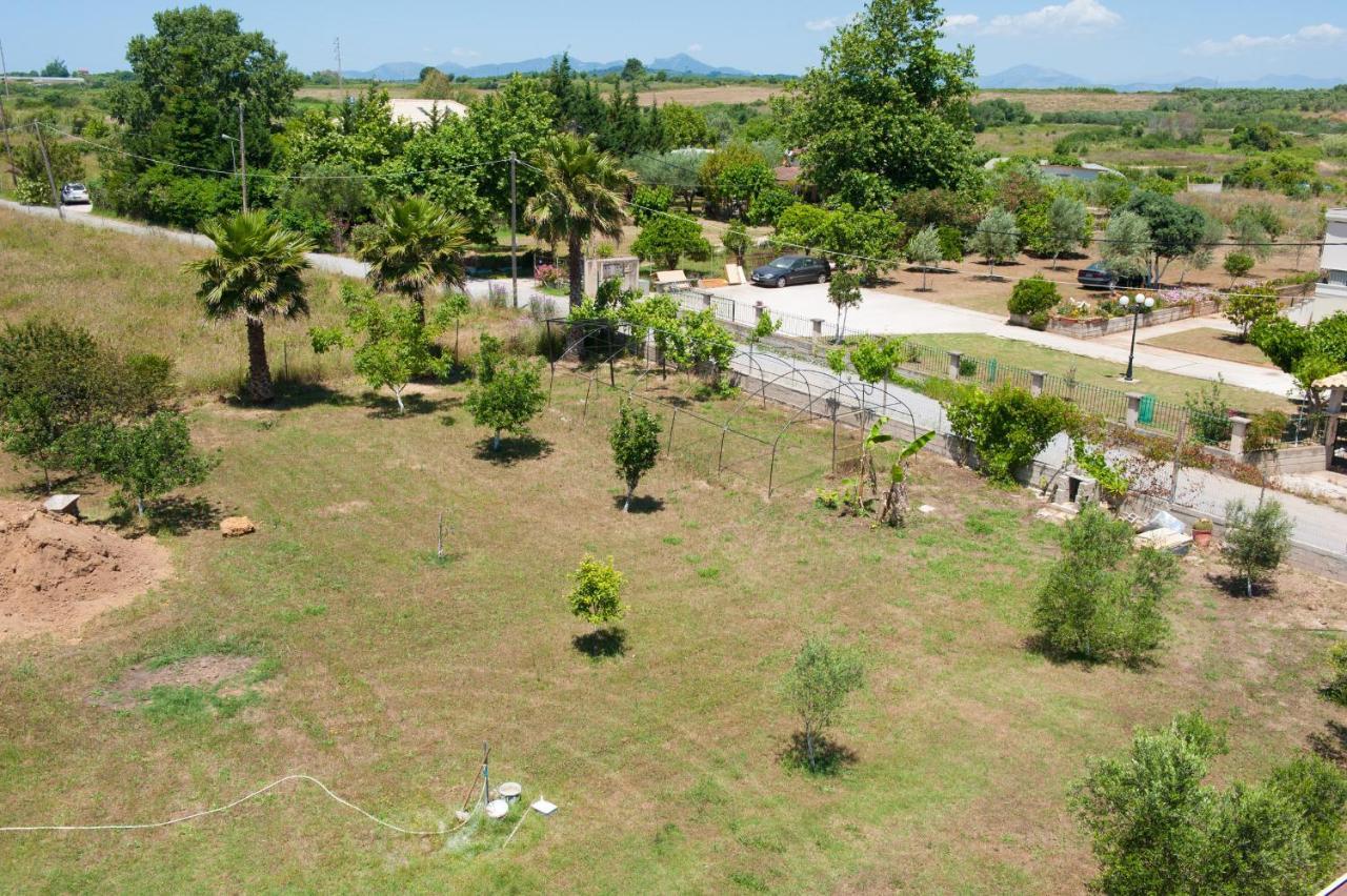 Olives Estate Apartments Grande Preveza Eksteriør billede