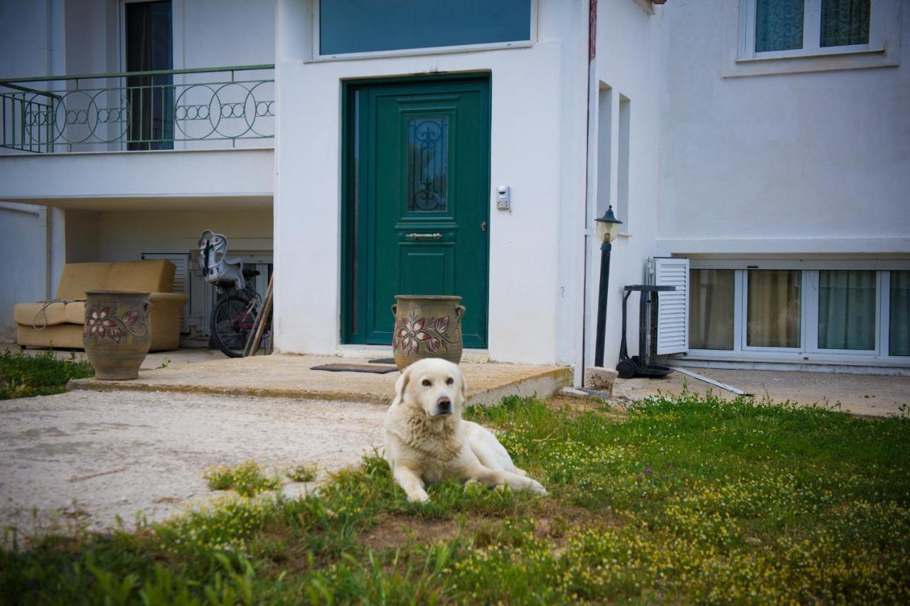 Olives Estate Apartments Grande Preveza Eksteriør billede